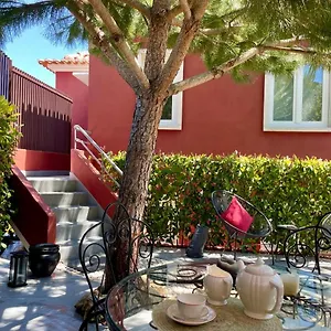 Confluentia H&a - Believe It Or Not Guest house